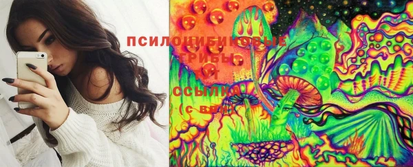 прущие крисы Мегион