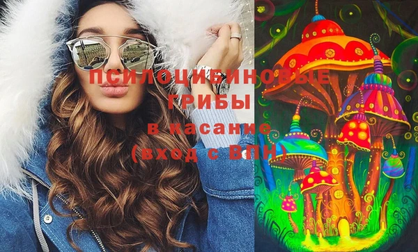 apvp Алексеевка