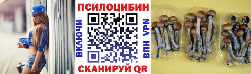 Псилоцибиновые грибы ЛСД  Назрань 
