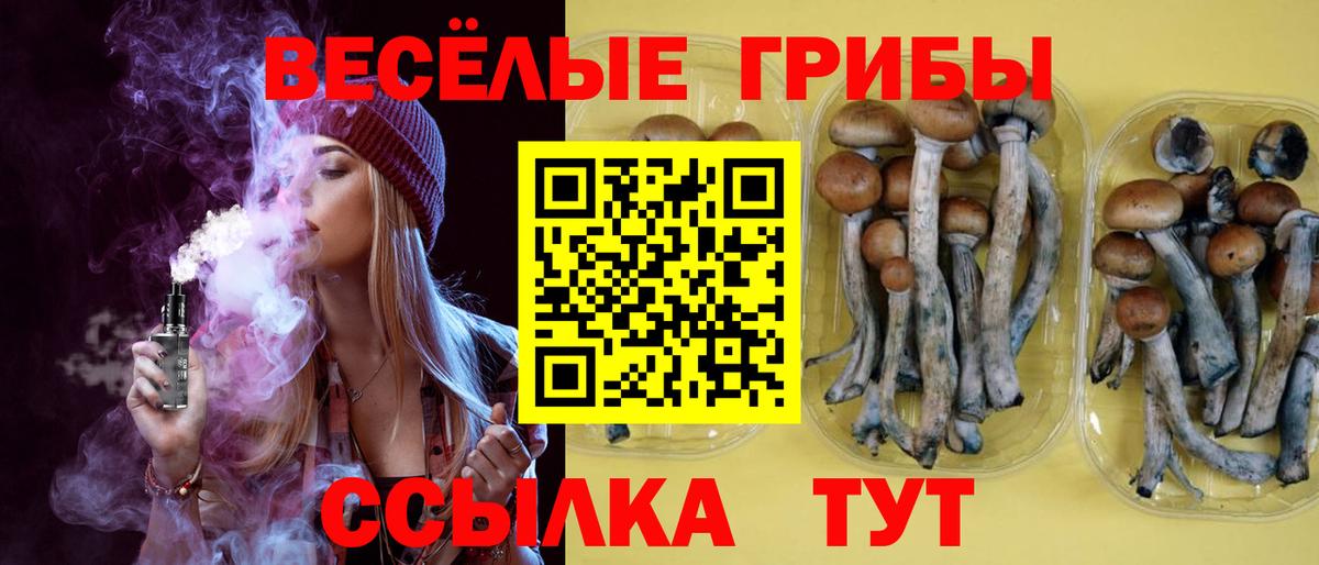 Назрань  Галлюциногенные грибы мицелий  Вход с VPN 